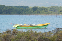 Étang de Vic